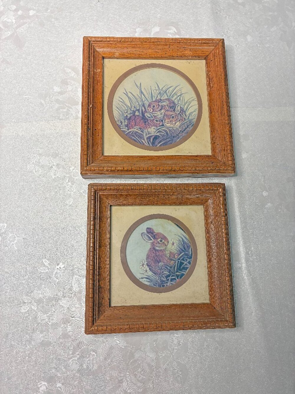 Vintage Framed Cottontail Rabbit Woodland Nature Art Print Decor (2) Cottage